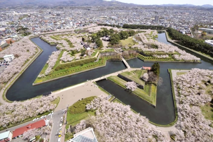 Sakura at Fort Goryokaku, Hakodate