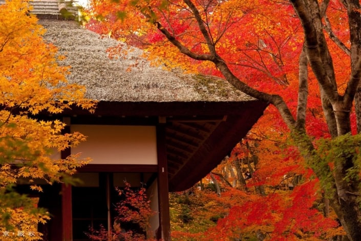 Thatched roof in Kyoto