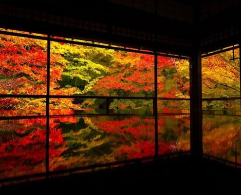 Ruriko-in Temple’s autumn leaves, Kyoto