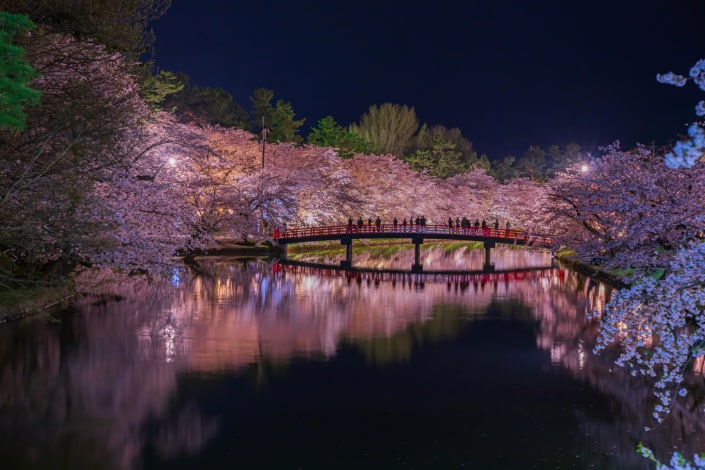 Cherry blossom at Hirosaki Park