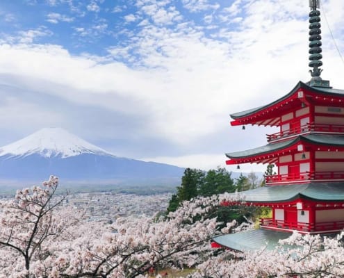 The best view of Mount Fuji Chureito Pagoda and sakura, Yamanashi