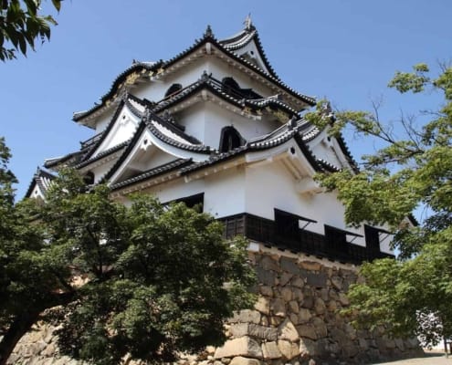 The hilltop Hikone castle