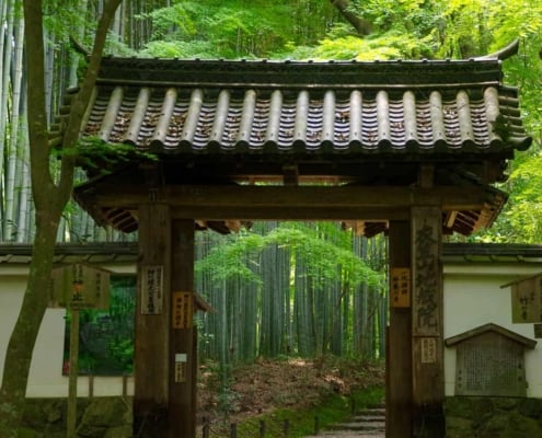 Jizo-in, Kyoto's Small Bamboo Temple