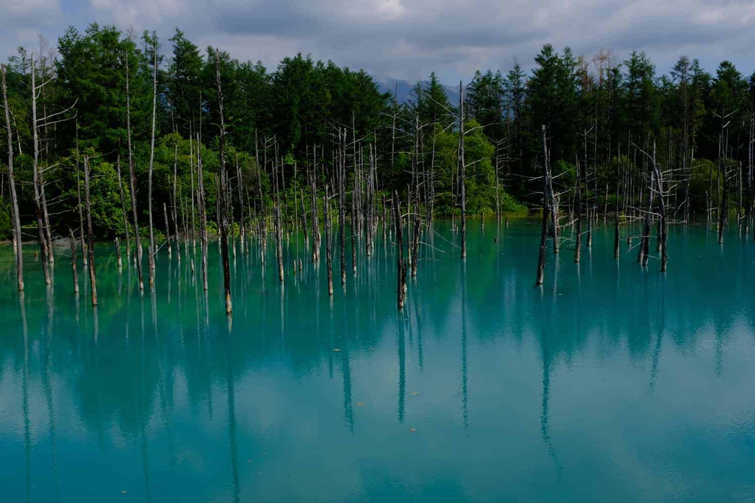 Shirogane Blue Pond in Biei, Hokkaido