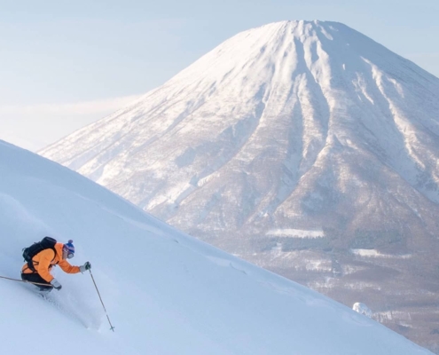 Powder skiing in Niseko