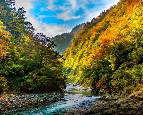 Kiyotsu Gorge, Niigata