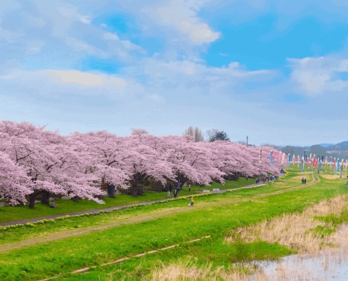 Kitakami Tenshochi Park