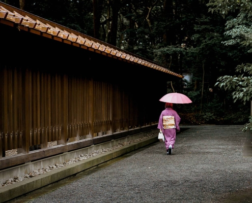 Early morning stroll at Meiji-jingu