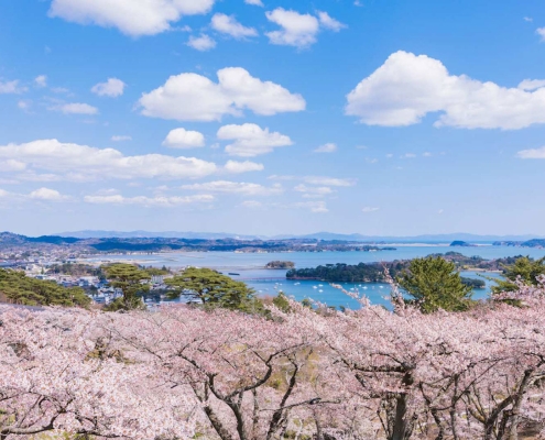 Saigyo Modoshi no Matsu Park