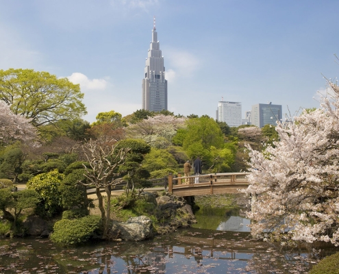 Shinjuku Gyoen National Garden