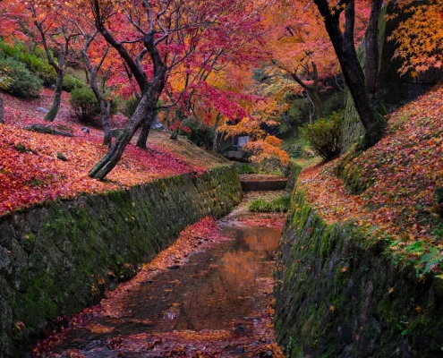 Tofuku-ji Temple